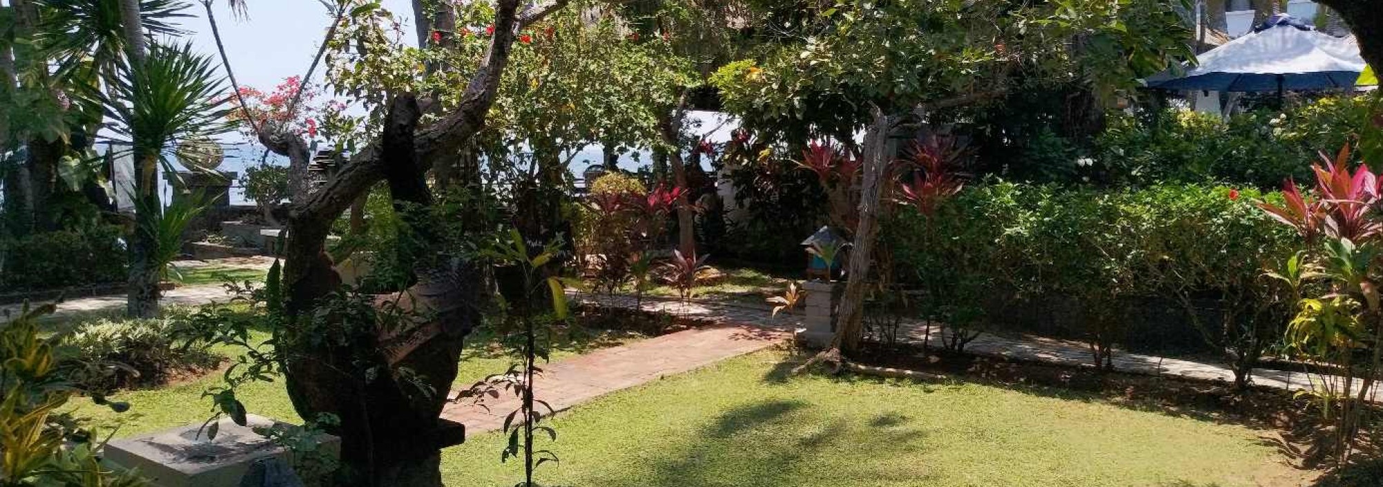 tuin-adirama-beach-hotel-lovina-balitravel