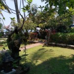 tuin-adirama-beach-hotel-lovina-balitravel