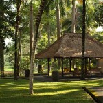 Ubud Village Resort Spa Prachtig Boutique Resort In Ubud Bali Travel