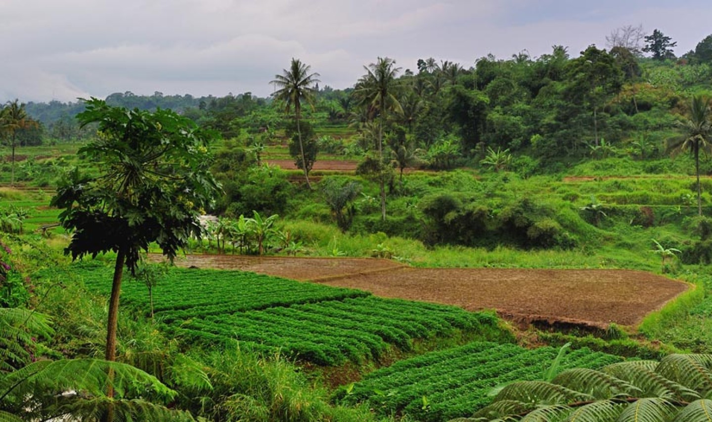 1200x500_happy_valley