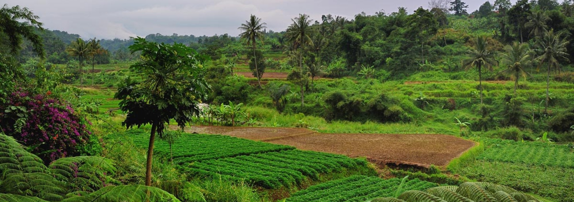 1200x500_happy_valley