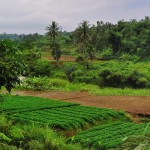 1200x500_happy_valley