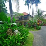 2-pertiwi-cottages-garden-1