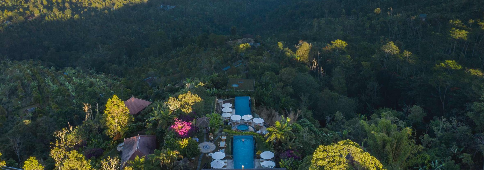 aerial-munduk-mooding-plantation-bali