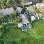 aerial-wape-di-ume-ubud-balitravel