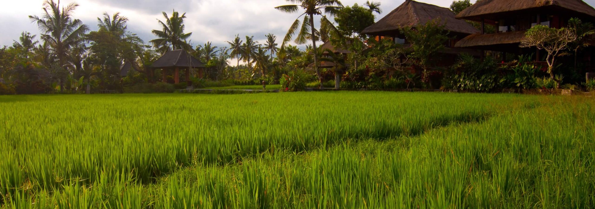 agung-raka-resort-ubud-1