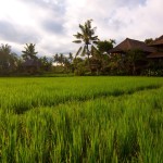 agung-raka-resort-ubud-1