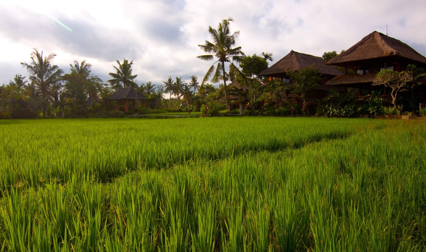 agung-raka-resort-ubud-2