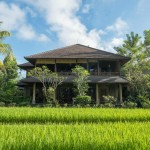 ananda-cottages-rijstvelden-balitravel