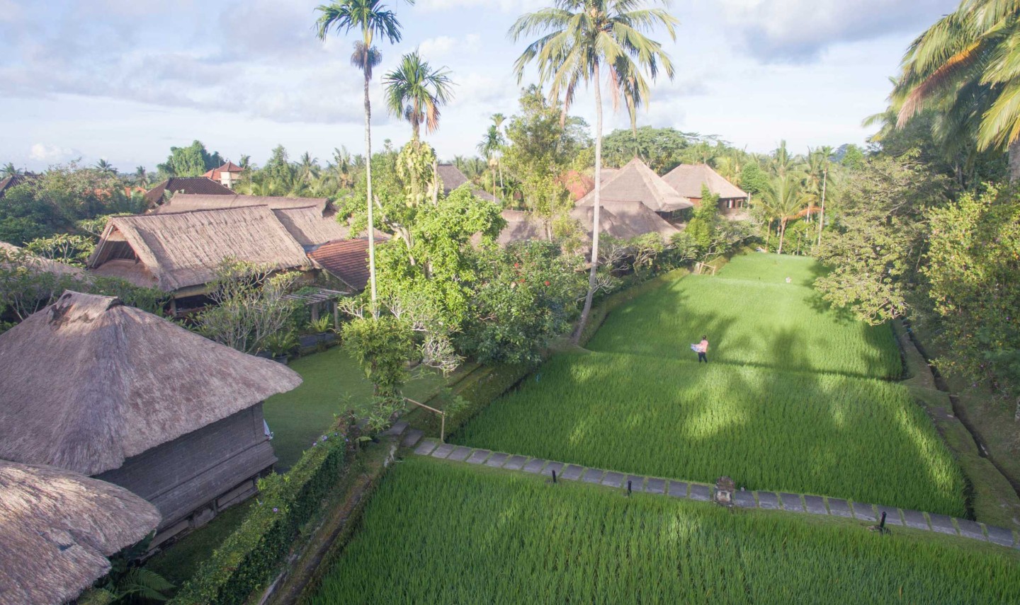 ananda-cottages-ubud-rijstvelden-balitravel