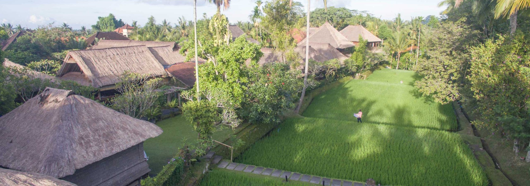 ananda-cottages-ubud-rijstvelden-balitravel
