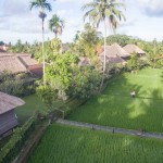 ananda-cottages-ubud-rijstvelden-balitravel