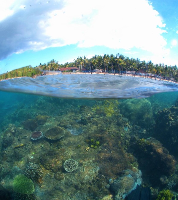 aristocat-sailing-excursie-balitravel