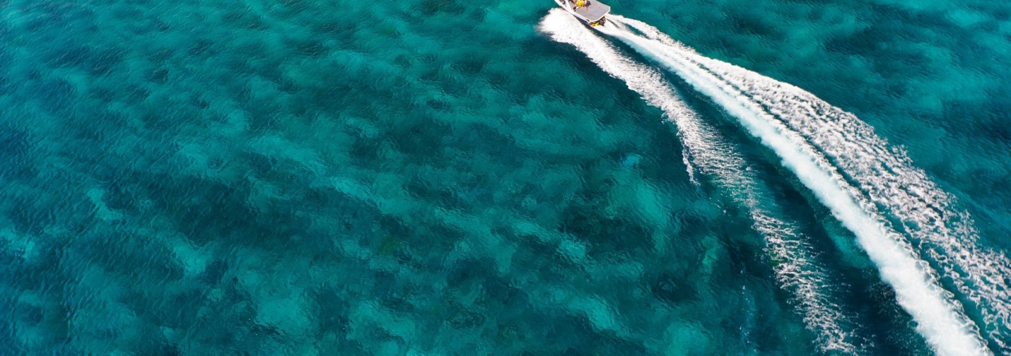 bali-hai-reef-cruise