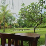 balkon-deluxe-garden-saren-indah-ubud-balitravel