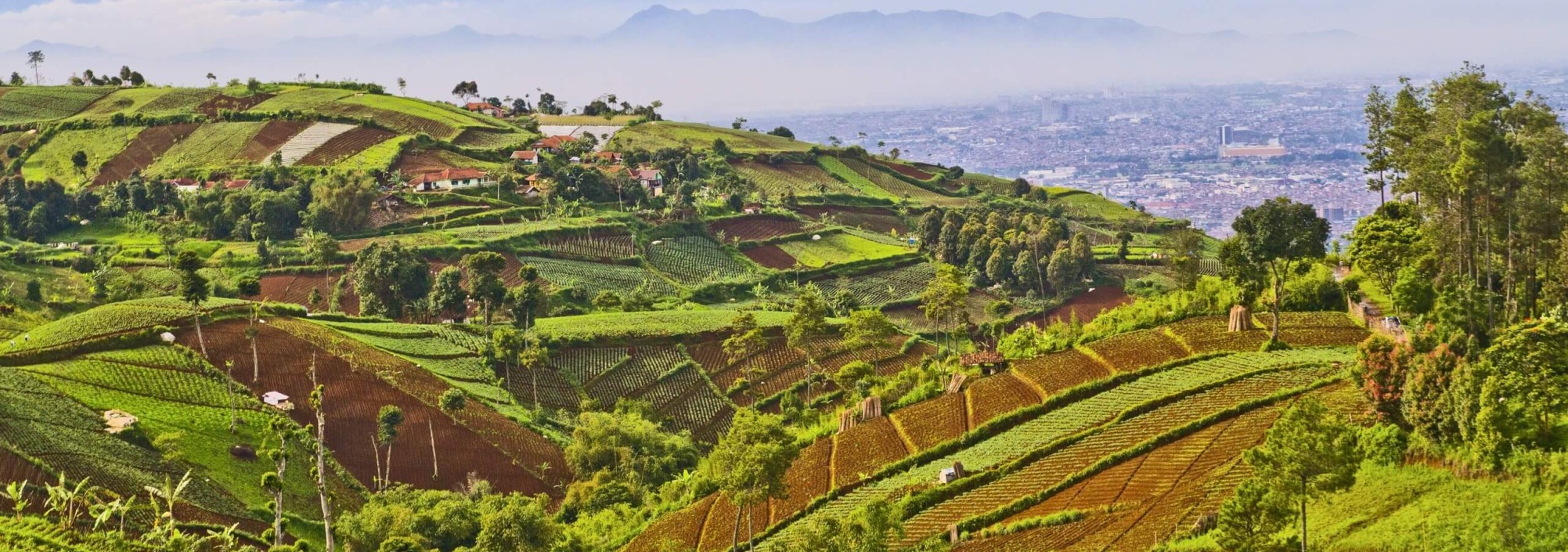 bandung-natuur-west-java