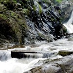 baturaden-national-park-java