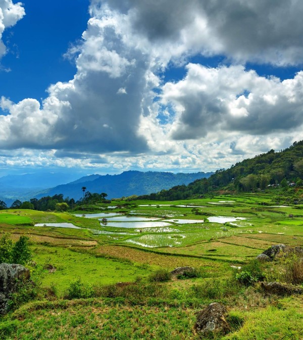 batutumonga-toraja-sulawesi