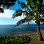 beach-puri-bagus-lovina