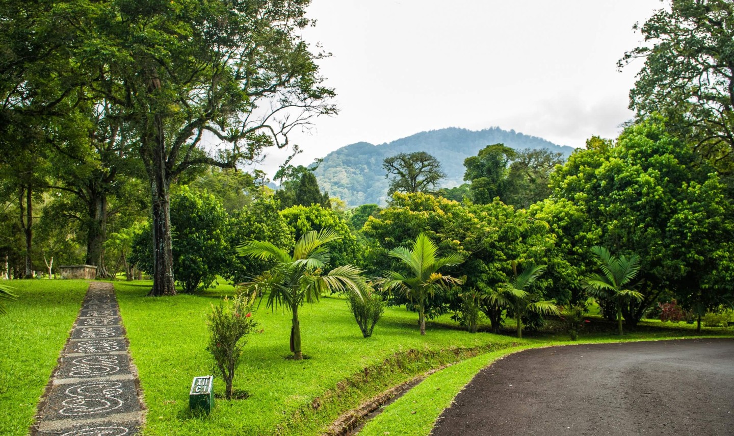 bedugul-botanische-tuinen-bali-balitravel