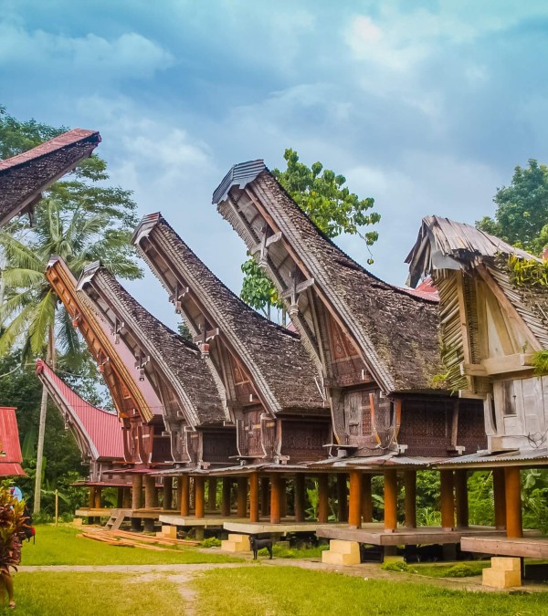 boeginese-dorpjes-tongkonans-toraja-sulawesi