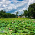 bogor-botanische-tuinen-excursie-java-balitravel