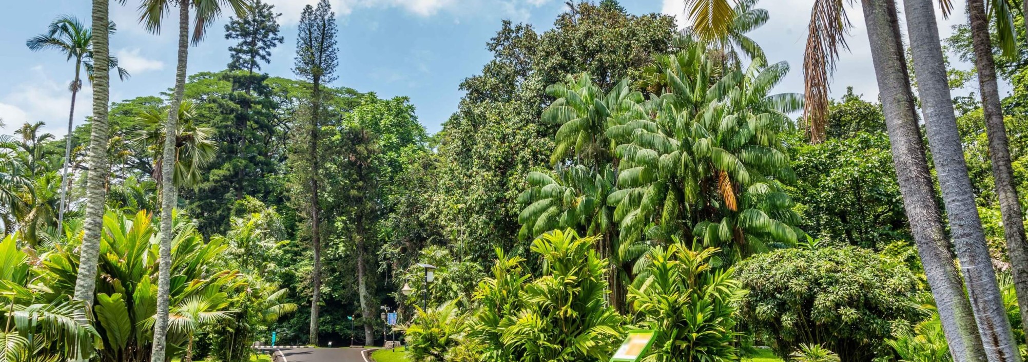 botanische-tuinen-bogor-java-balitravel