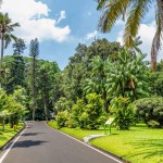 botanische-tuinen-bogor-java-balitravel
