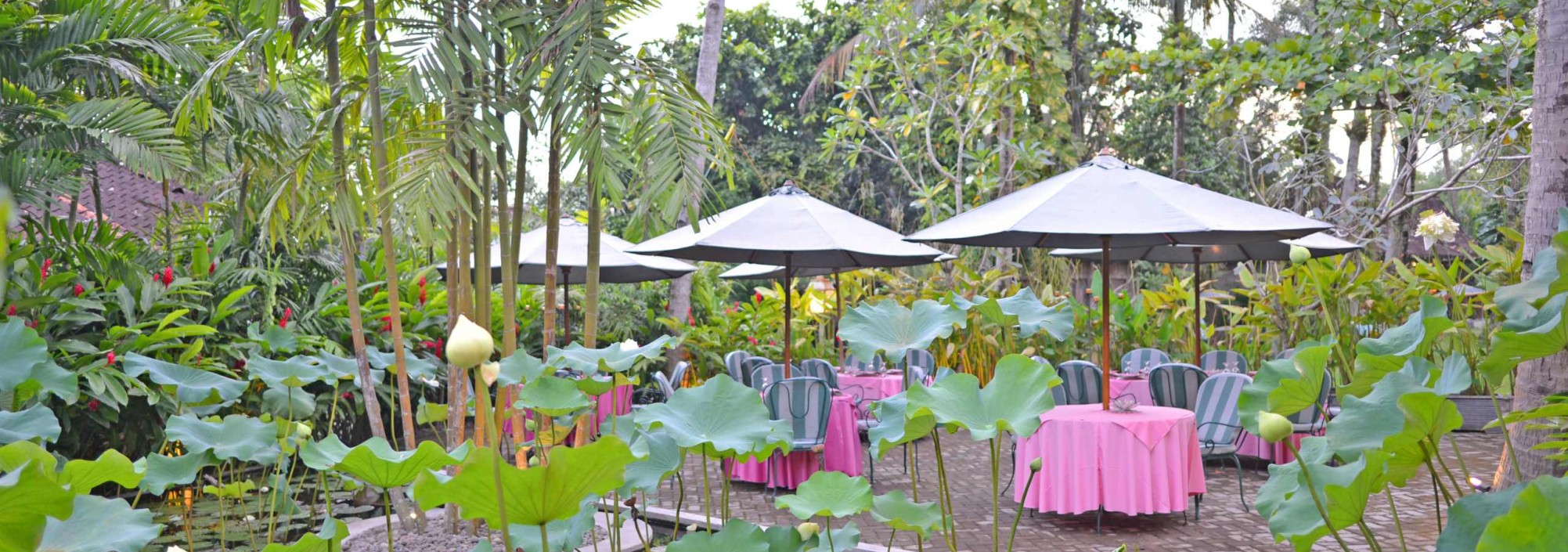 buiten-restaurant-d-omah-yogyakarta-balitravel