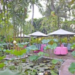 buiten-restaurant-d-omah-yogyakarta-balitravel
