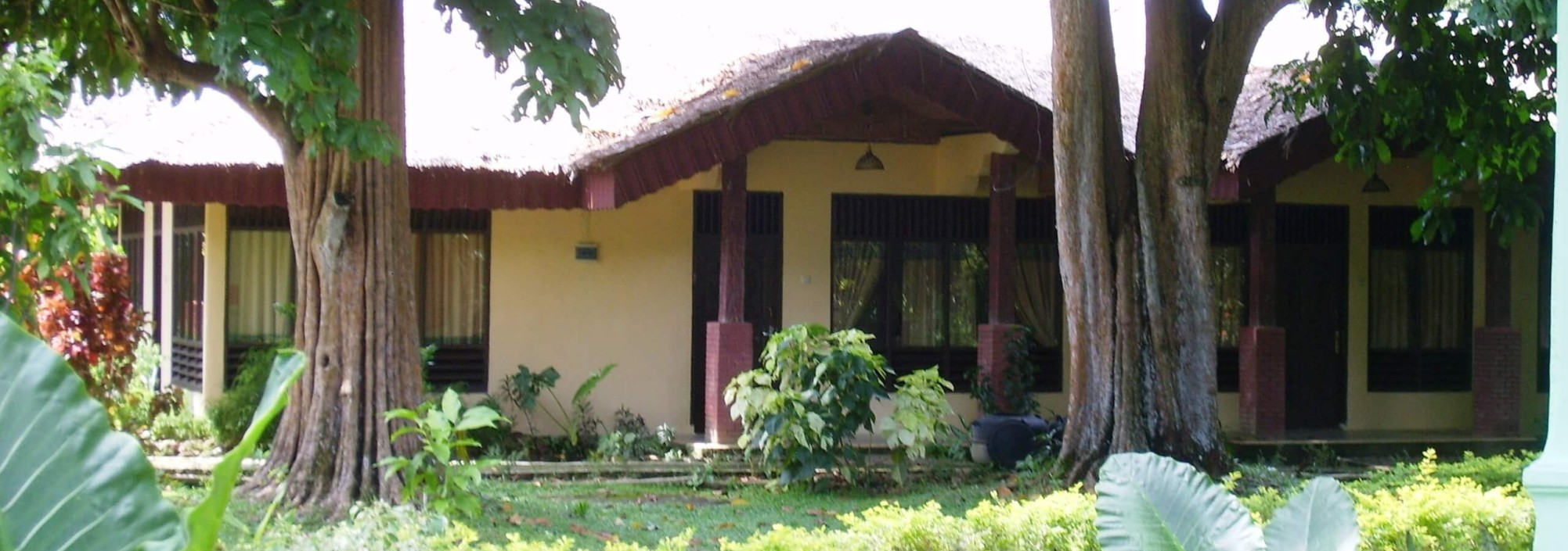 bukit-lawang-cottages-sumatra-2