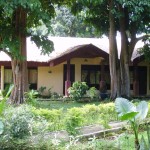 bukit-lawang-cottages-sumatra-2