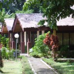 bukit-lawang-cottages-sumatra-3-1
