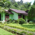 bukit-lawang-cottages-sumatra-4