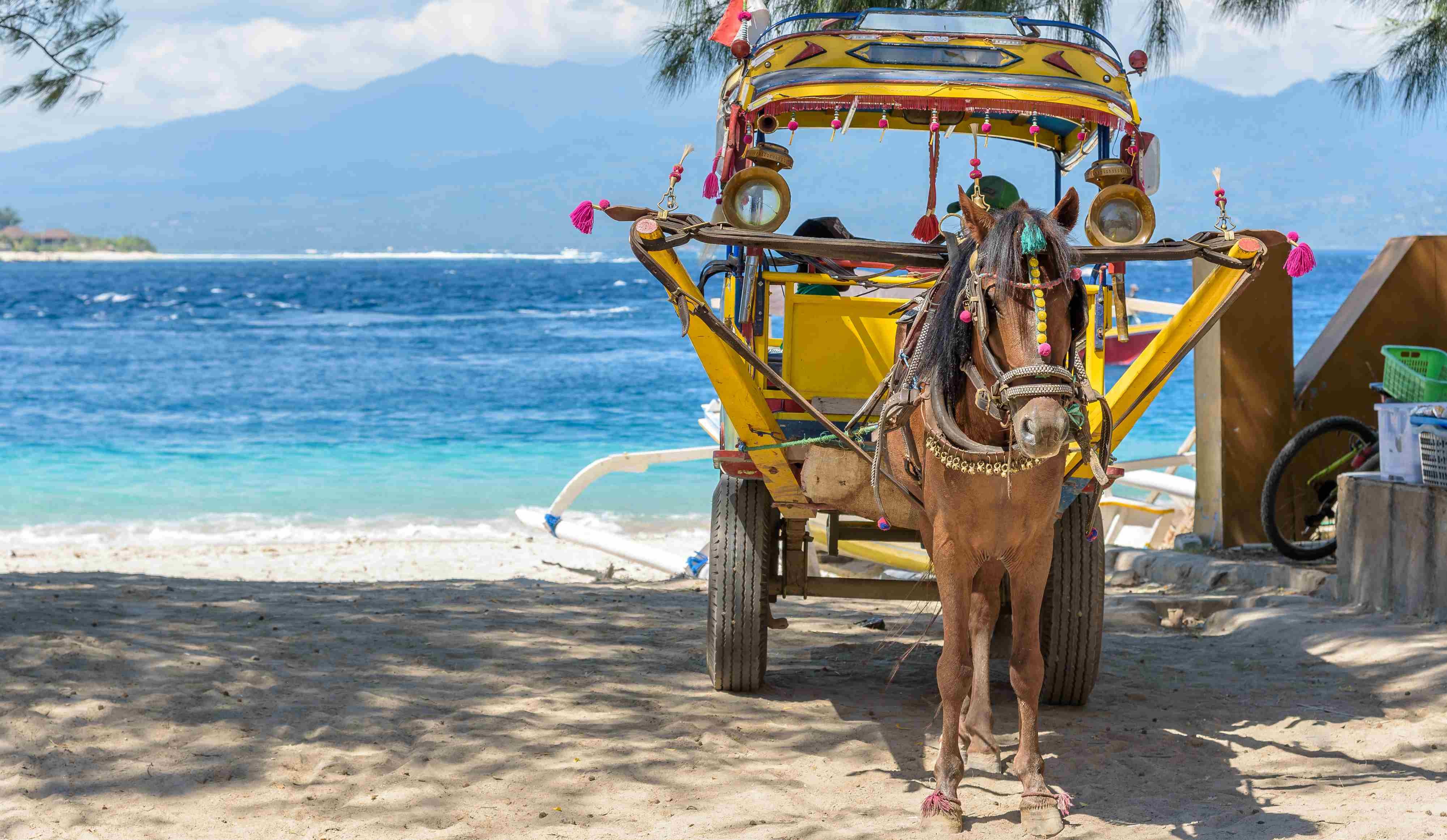 cidomo-paard-en-wagen-vervoer-op-gili-trawangan