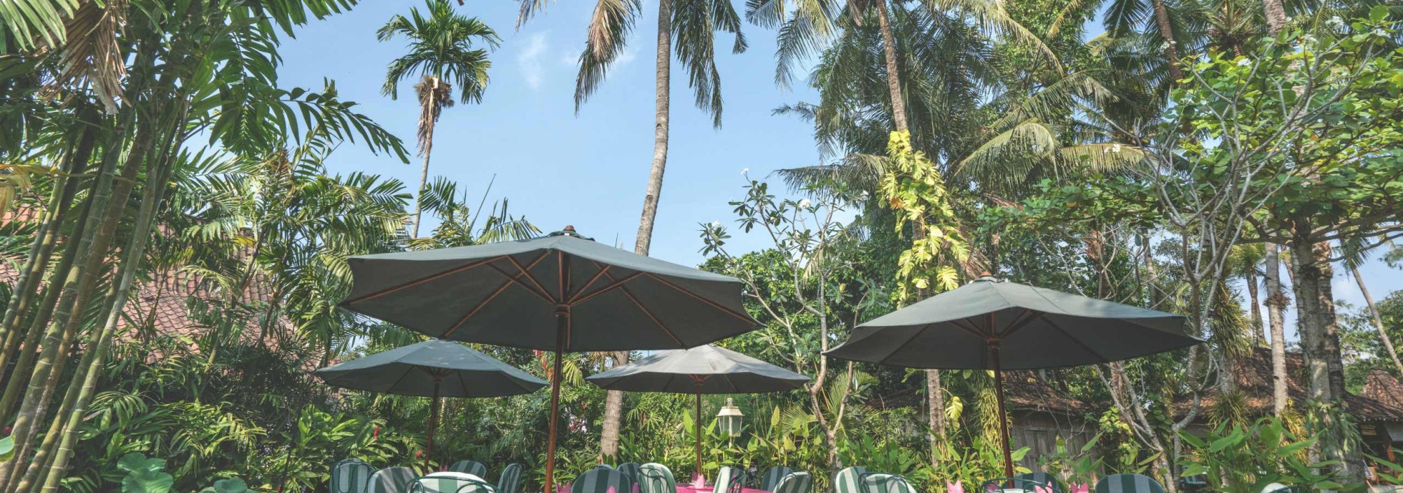 d-omah-yogyakarta-dining-balitravel