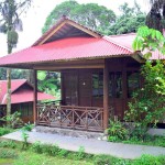 deluxe-cottage-highland-resort-sulawesi