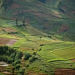 dieng-plateau-wonosobo-java-balitravel