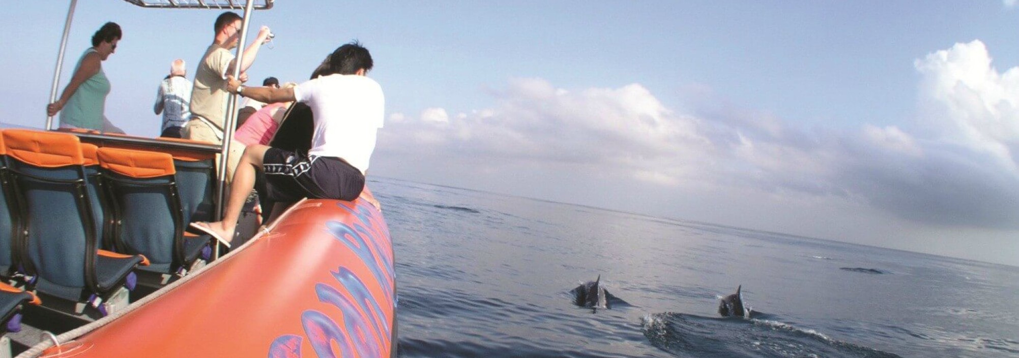 dolfijnen-spotten-bali-excursie