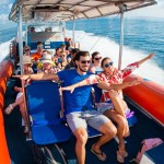 dolfijnen-spotten-bali-excursie-balitravel
