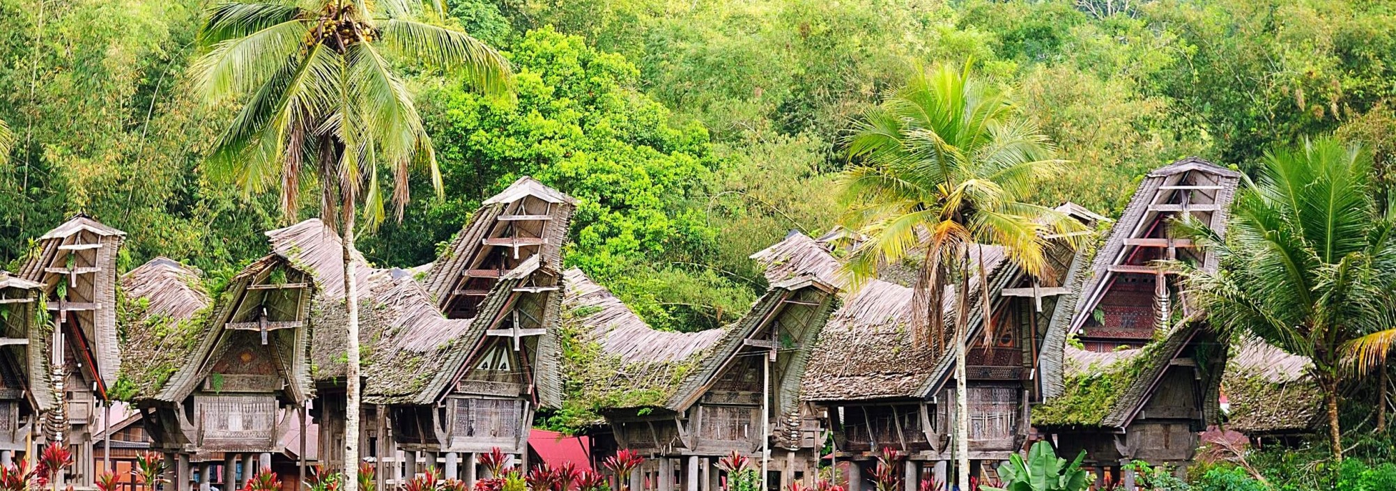dorp-in-tana-toraja-sulawesi