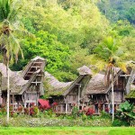 dorp-in-tana-toraja-sulawesi