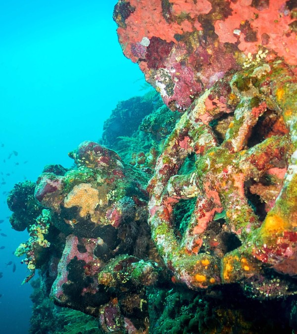 duiken-amed-onderwater-bali-1