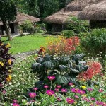 ecolodge-kelimutu-moni-1