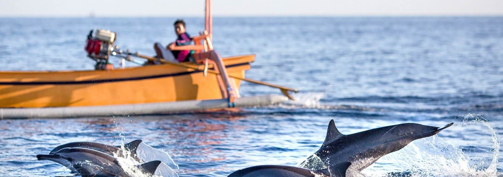 excursie-dolfijnen-spotten-lovina-balitravel-1