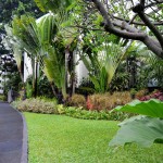 garden-hotel-borobudur-jakarta-balitravel