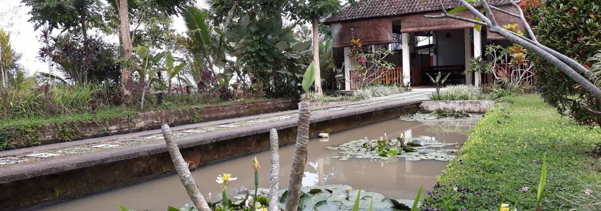 garden-ijen-cliff-resort-java-balitravel