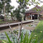 garden-ijen-cliff-resort-java-balitravel