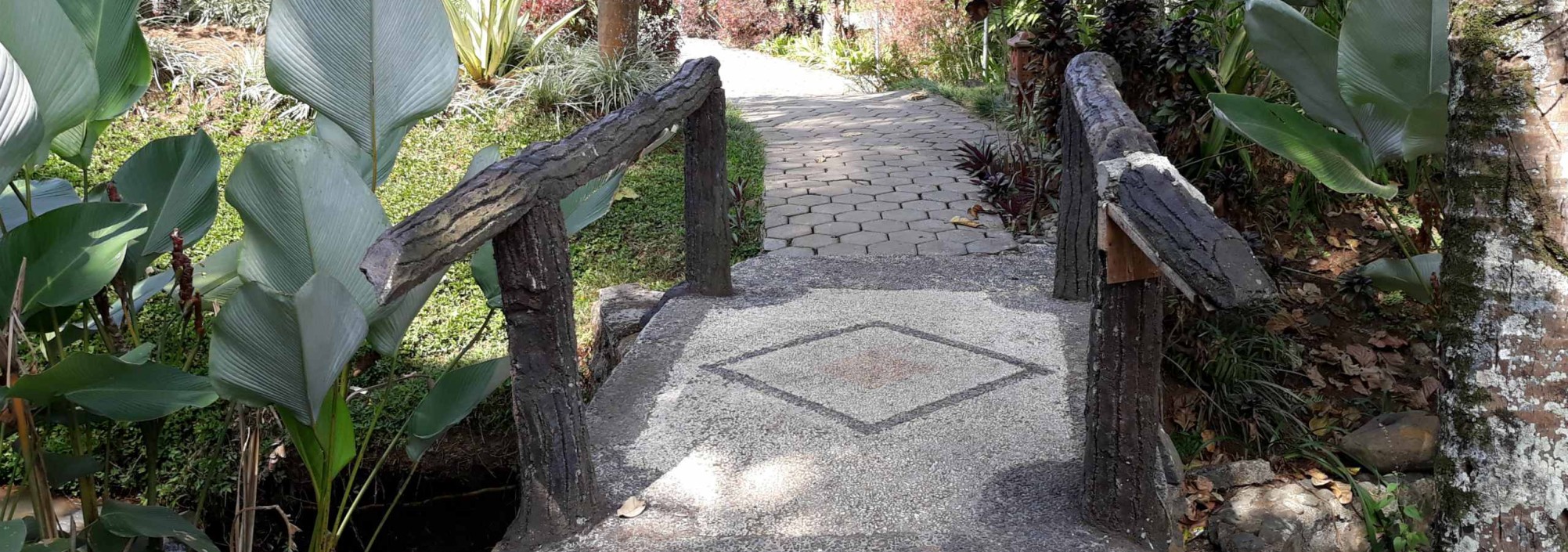 garden-river-ijen-cliff-resort-java-balitravel