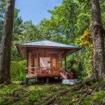 garden-view-bungalows-seabreeze-bunaken